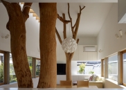 Casa cu copaci
propusa de arhitectul Hironaka Ogawa