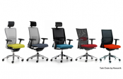 Scaune ergonomice