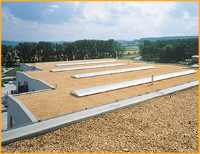 sika_branding_newsletter_noiembrie_marti_jos