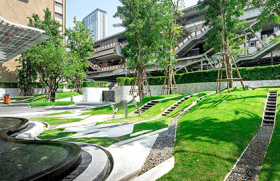 Padure urbana in Bangkok  
