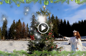Priveste ''Viata in Verde'' alaturi de RoofArt! <br>Urarile echipei noastre, adunate intr-un video cu iz de sarbatoare