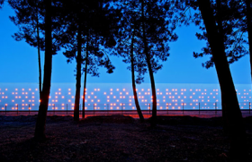 Design al unei crame pus in valoare cu zeci de lumini LED