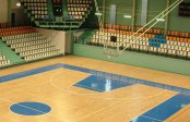 Pardoseli pentru sali de sport