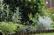 COMPO pentru plante frumoase si gradini elegante! Testeaza pe www.hailacasa.ro!