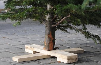 Cateva idei practice pentru suporturile de pomi de Craciun
