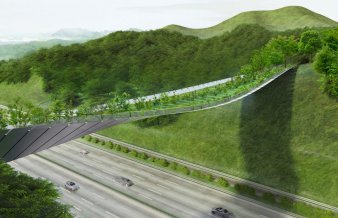 Un pod cu vegetație ține la distanță animalele sălbatice de o autostradă aglomerată