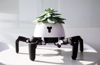 Acest robot iți plimbă planta și dansează când trebuie să o uzi