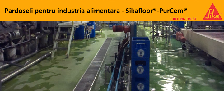 Insert Sika cum se face 15.10.2018
