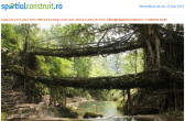 Podurile din rădăcini din India, minuni inginerești în parteneriat om-natură