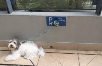Se poate mai bine: 7 lucruri care ne-am dori să existe &icirc;n fiecare oraș