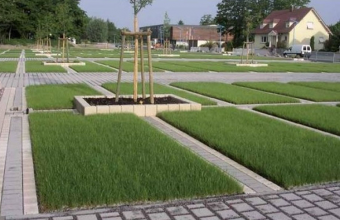 Pavaje ecologice Ecoraster