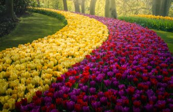 Cea mai frumoasă grădină de flori din lume pe timp de pandemie. Imagini de poveste