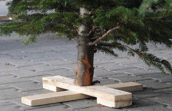 Câteva idei practice pentru suporturile de pomi de Crăciun