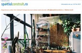6 greșeli comune în îngrijirea plantelor de apartament