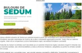 Rulouri de Sedum pentru construcții durabile