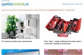 Cinci plante potrivite pentru apartamente