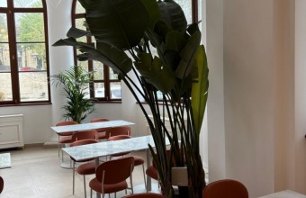 Sonorizarea restaurantului City Grill din Cazinoul Constanța &ndash; integrarea unui sistem audio profesional &icirc;ntr-o clădire monument istoric