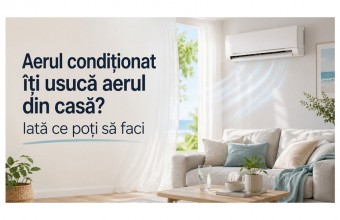 Aerul condiționat &icirc;ți usucă aerul din casă? Iată ce poți să faci